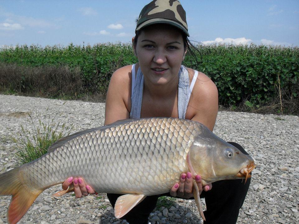 ccarp - 305195_226441820750581_100001542957380_594742_1634240125_n.jpg